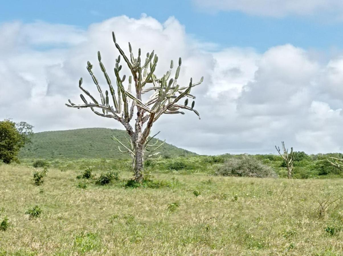 Flat Hotel Fazenda Gravatá Monte Castelo 1Módulo Kültér fotó