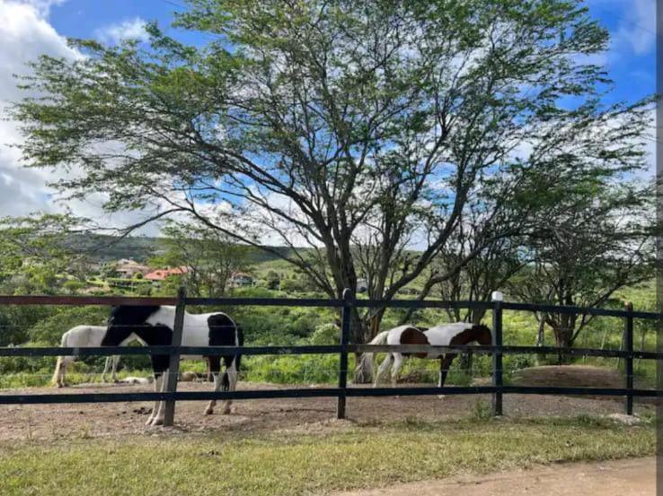 Flat Hotel Fazenda Gravatá Monte Castelo 1Módulo Kültér fotó