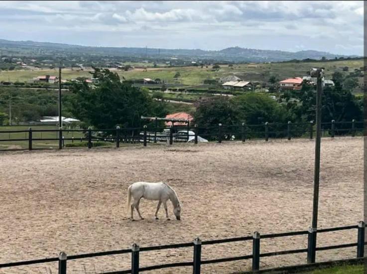 Flat Hotel Fazenda Gravatá Monte Castelo 1Módulo Kültér fotó