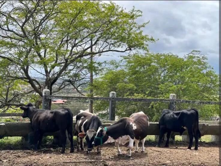Flat Hotel Fazenda Gravatá Monte Castelo 1Módulo Kültér fotó