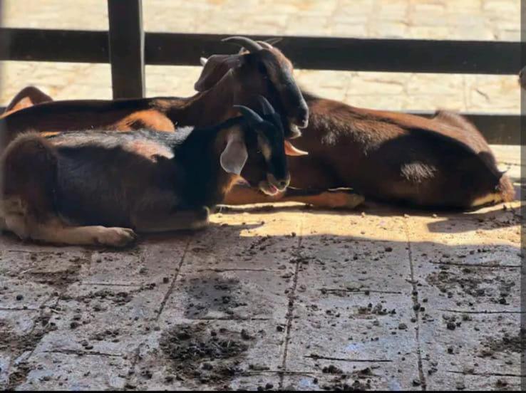 Flat Hotel Fazenda Gravatá Monte Castelo 1Módulo Kültér fotó